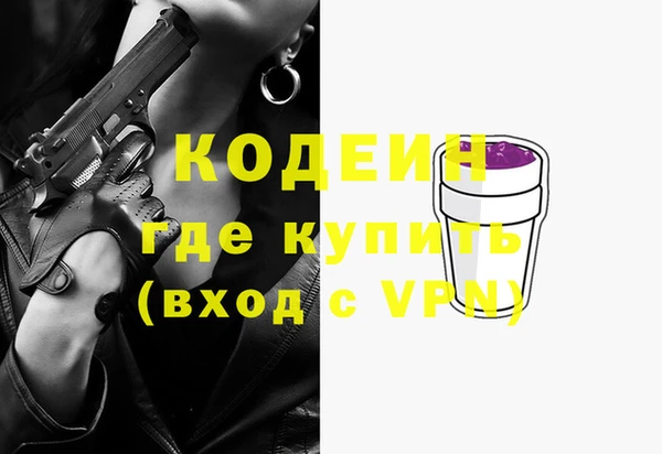 молекула духа Дмитров
