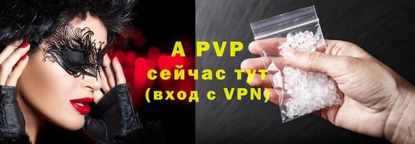 хмурый Гусев