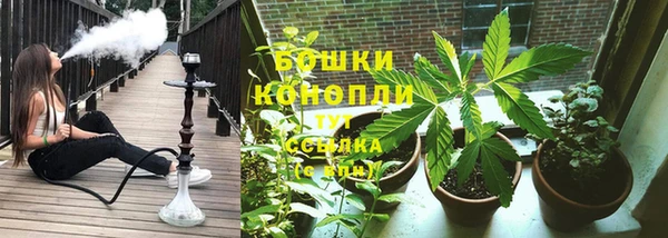 spice Дмитровск