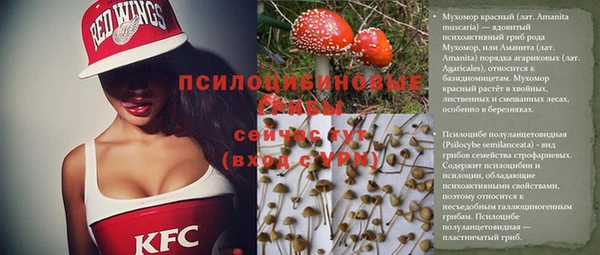 молекула духа Дмитров