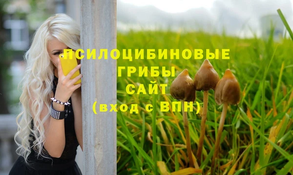 spice Дмитровск