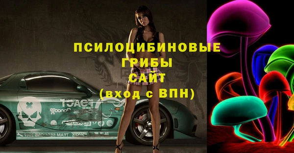 молекула духа Дмитров