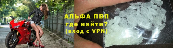 молекула духа Дмитров