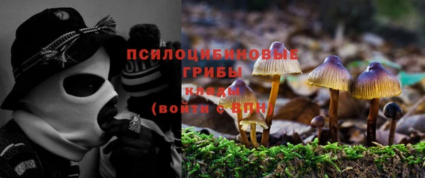 spice Дмитровск